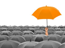 Reforço da defesa imunitária contra o cancro