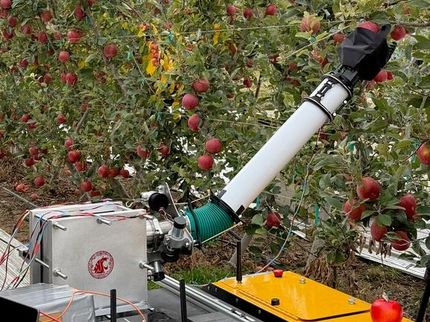 Braccio robotico in tessuto gonfiabile per raccogliere le mele