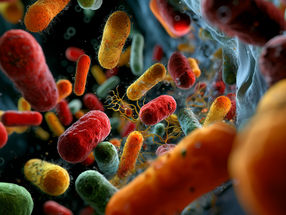 Neuer Test zeigt, welche Antibiotika wirklich wirken