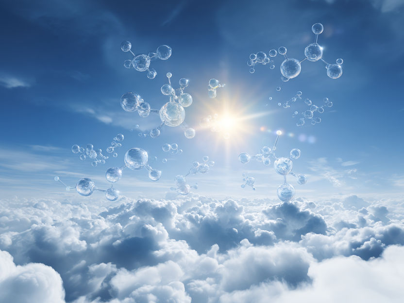 Individuata una nuova importante fonte di ossidazione nell'atmosfera - Grande importanza per le previsioni sulla qualità dell'aria e sul clima