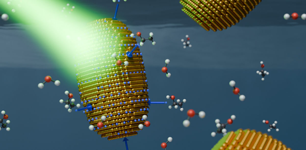 Wie werden Gold-Nanostäbchen zu nanometergroßen Elektrolyseuren?