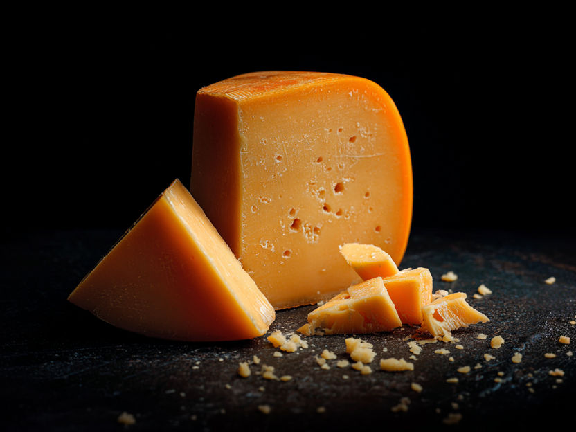 Formaggio senza mucche? - I ricercatori hanno analizzato le convinzioni che influenzano la volontà dei consumatori di acquistare Gouda senza animali