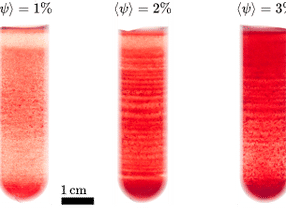 Los investigadores desvelan el misterio de la formación de bandas en la sangre centrifugada