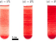 Researchers crack the mystery of band pattern formation in centrifuged blood