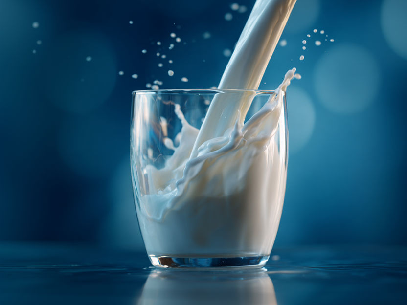 Il mercato del latte 2025 è complessivamente buono - Inizio esitante per il 2026