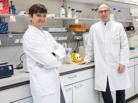 Magdeburger Forschungsteam findet Angriffspunkt für resistente Leukämiezellen