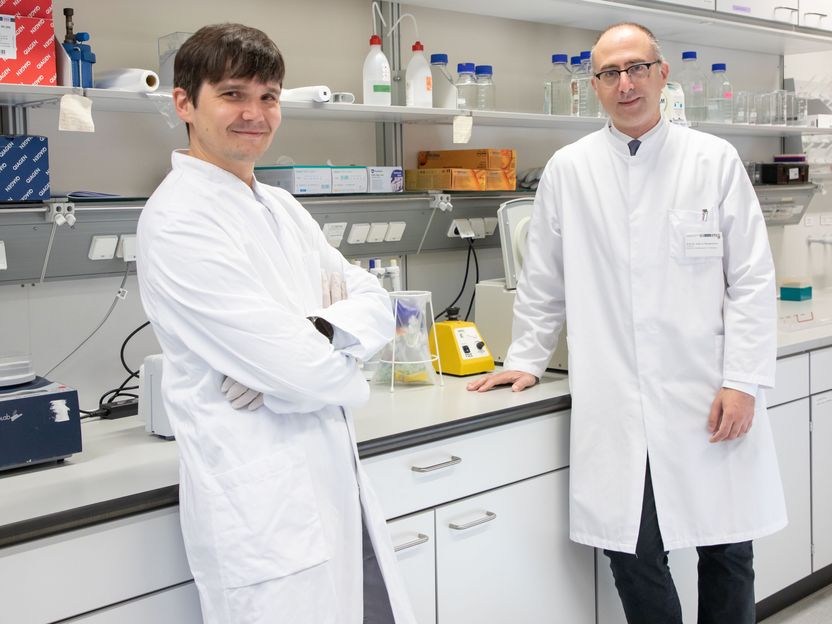 Research team finds target for resistant leukemia cells - Iron-dependent cell death opens up new therapeutic perspectives for chronic leukemia that is difficult to treat