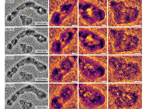 Die Selektivität von Katalysatoren als “Balanceakt“