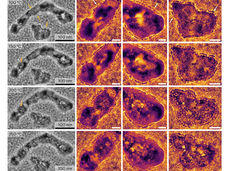 Die Selektivität von Katalysatoren als “Balanceakt“