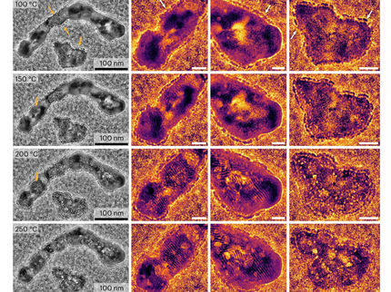Die Selektivität von Katalysatoren als “Balanceakt“