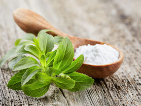 HSH Chemie acquires two sweetener specialists