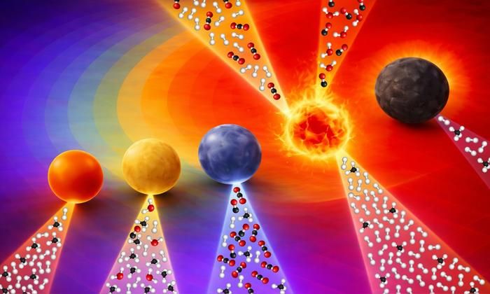 Illustration by Sinhara M. H. D. Perera