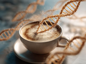 How does coffee turn immune cells into cancer fighters?