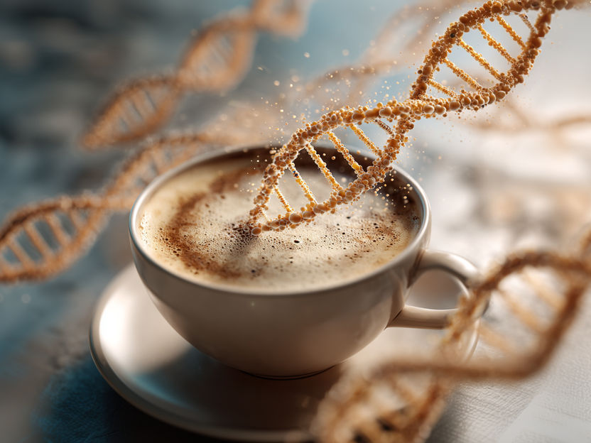 Come fa il caffè a trasformare le cellule immunitarie in combattenti contro il cancro? - Uno studio dimostra che sostanze di uso quotidiano come la caffeina del caffè, del tè o persino del cioccolato possono essere sfruttate per controllare con precisione il comportamento delle cellule