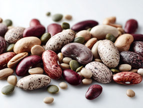L'EFSA met en garde contre la présence de lectines dans les haricots insuffisamment cuits