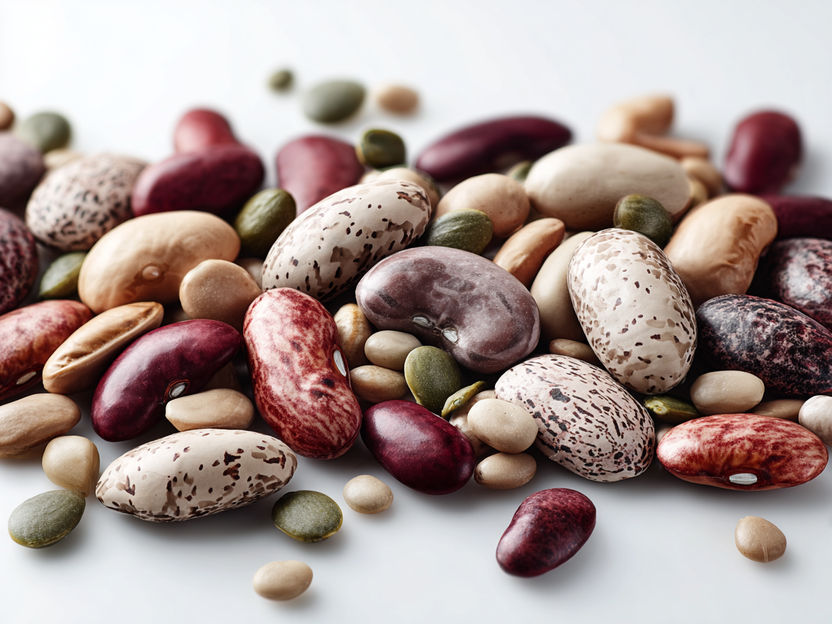 EFSA warnt vor Lektinen in unzureichend gekochten Bohnen - Europäische Behörde sieht Gesundheitsrisiko für alle Altersgruppen durch Phytohämagglutinin