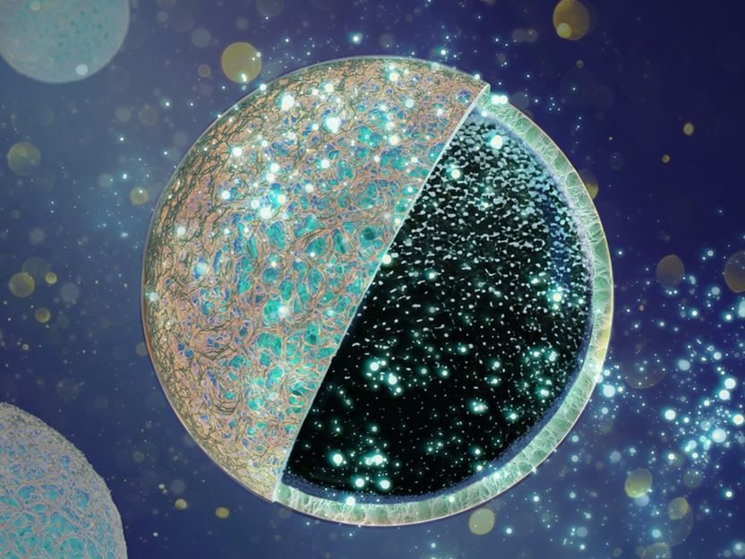 Neues Kern-Schale-Design für Anoden steigert Leistungsfähigkeit von Natrium-Ionen-Batterien deutlich