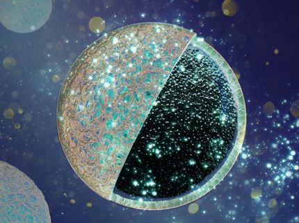 Un nuevo diseño de ánodos con núcleo aumenta significativamente el rendimiento de las baterías de iones de sodio