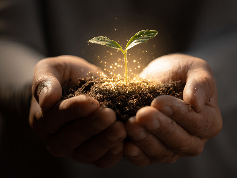 36 equipas ganham um milhão de dólares para inovações em sistemas de gestão empresarial - Anunciados os finalistas e semifinalistas do Seeding The Future Global Food System Challenge