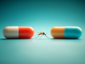 Powerful drugs against malaria resistance