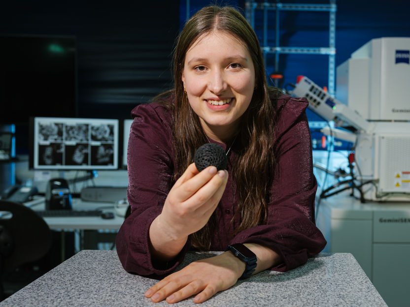 Batterie dalla ruggine? - Le sfere di carbonio riempite di ossido di ferro offrono un'elevata capacità di stoccaggio