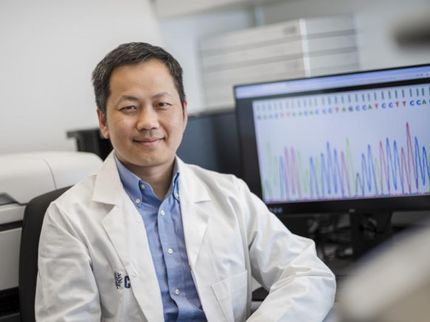 Wie beschädigte Huntingtin-Proteine abgebaut werden