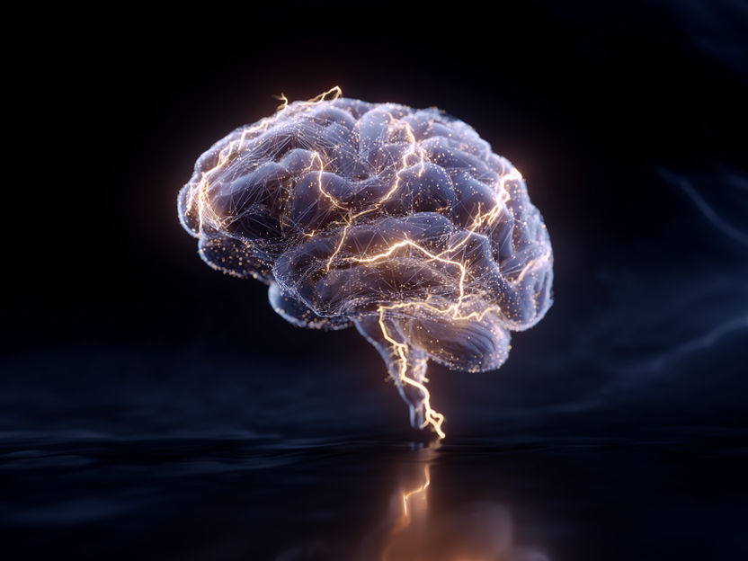 How brain stimulation works in Parkinson's disease - Brain network identified for effective treatment of Parkinson's disease
