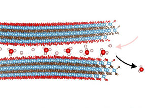 MXene for energy storage: More versatile than expected
