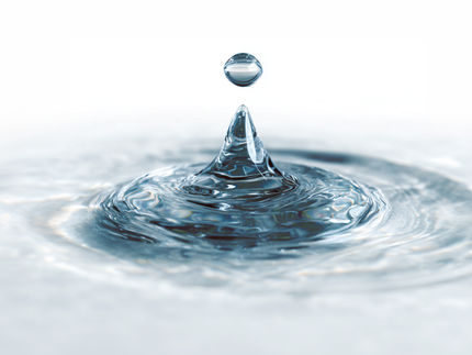 El agua: de perturbador químico a componente estructural