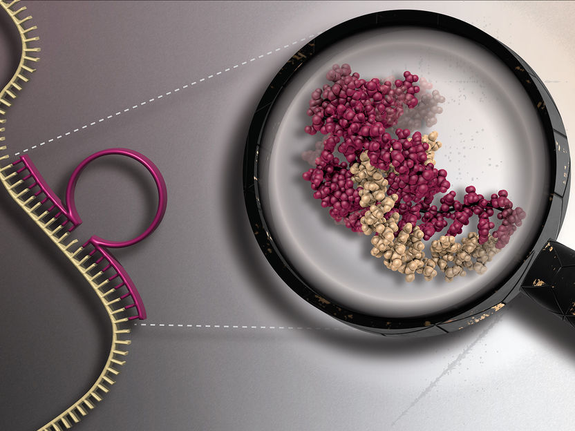 DNAzymes for a pioneering cancer therapy - Newly founded company to conduct clinical trials