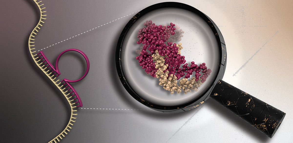 Copyright: HHU / Manuel Etzkorn