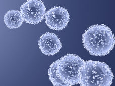 Neogap secures SEK 87 million for personalized cancer immunotherapy