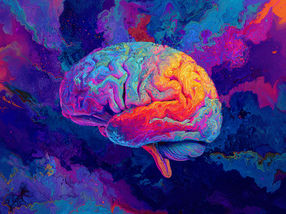 How Psychedelic Drugs Affect the Brain