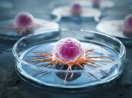 3D-Mikrotumoren können Therapieentscheidung revolutionieren