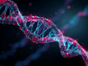 Desarrollan un par de bases de ADN artificial basado en enlaces halógenos