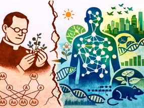 Jenseits von Mendel: Forschende fordern ein neues Verständnis der Genetik