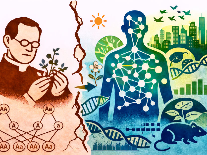 Copyright: Diethard Tautz