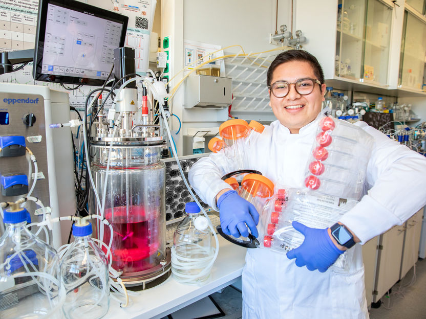 Weniger Plastikmüll in der Biomedizin - Doktorand erhält Forschungsstipendium, um nachhaltigere Verfahren zur Kultivierung von Stammzellen zu entwickeln