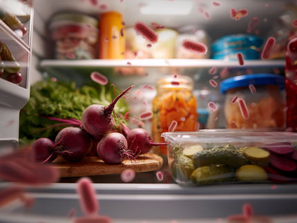 El hogar como punto ciego de la seguridad alimentaria