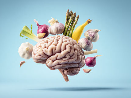 Un nuevo estudio revela que una alimentación sana a una edad temprana determina la salud cerebral a lo largo de toda la vida