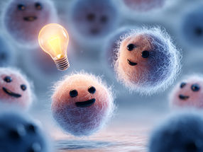 Why our immune system remembers vaccinations for decades