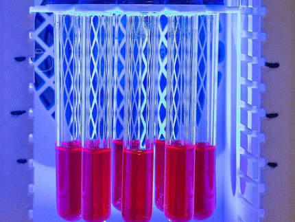 la "batteria solare" fornisce idrogeno dall'energia solare con la semplice pressione di un pulsante