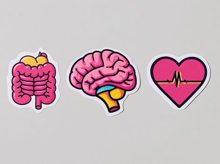 Darmmikroben steuern übers Gehirn unser Herz