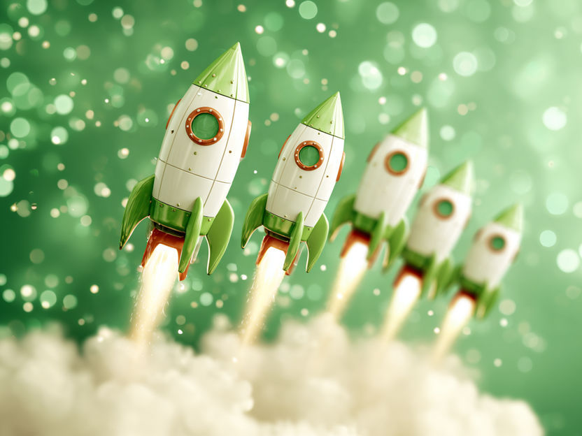 Ein verlässliches Sprungbrett für grüne Startups