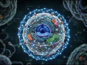 KI-Biologieunternehmen sichert sich 25 Millionen US-Dollar für virtuelle Zellmodelle