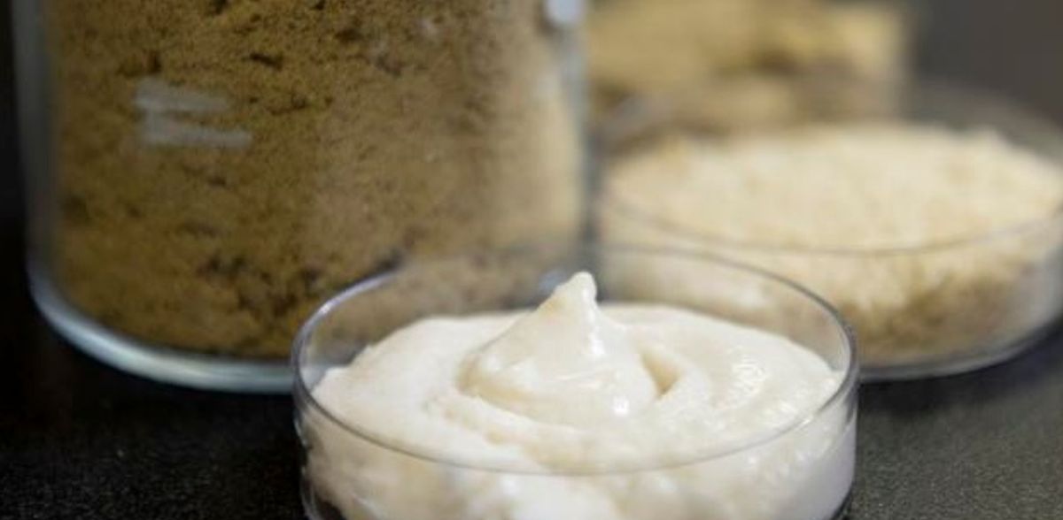 Queijo à base de arroz?