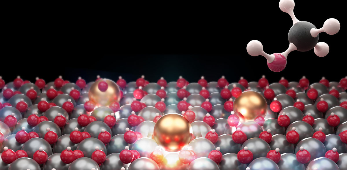 Constance Ko / ETH Zürich