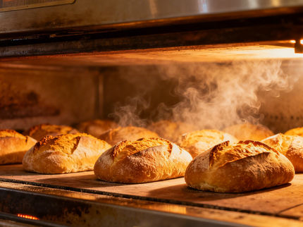 Droht der deutschen Lebensmittelproduktion ein neuer Kostentsunami?