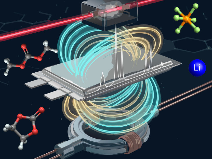 © F. Teleanu, A. Fabricant, using GPAI