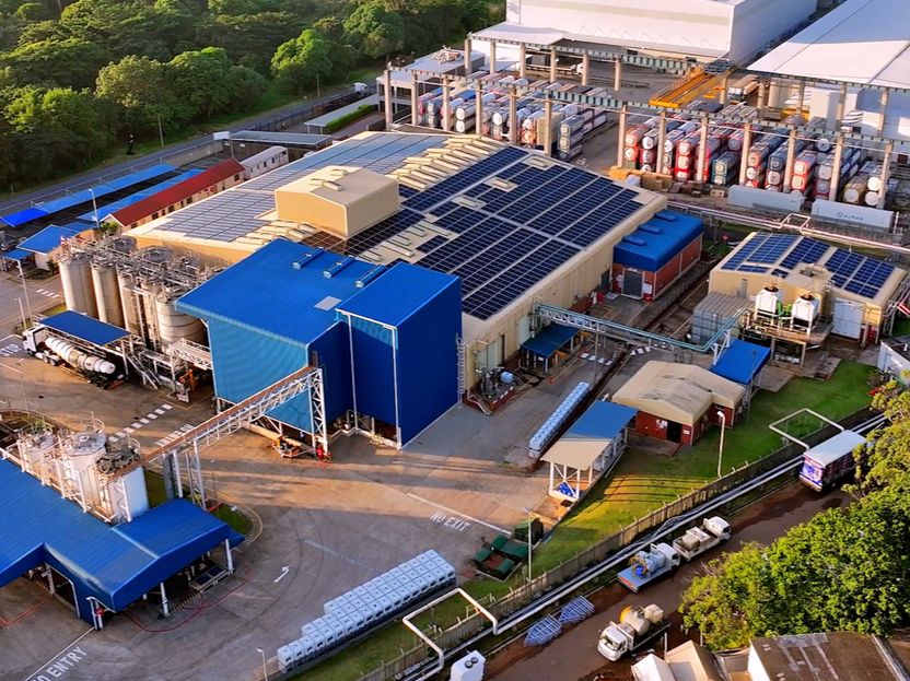 BASF inaugurates expanded dispersion production in Durban, South Africa